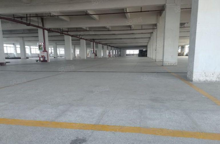 中堂原房东标准厂房出租，低至12元每平米