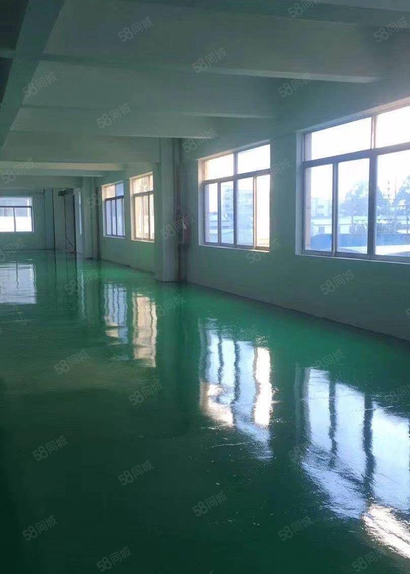 中堂107国道厂房1200平低价出租