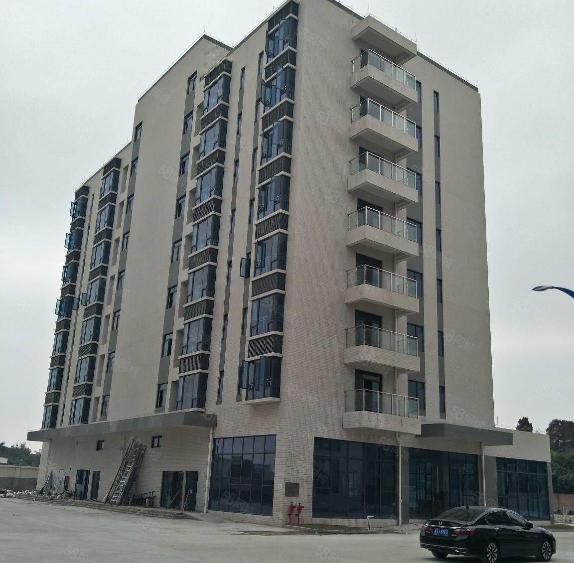 中堂镇80000平方米智能智造高新产业园出租，可分租