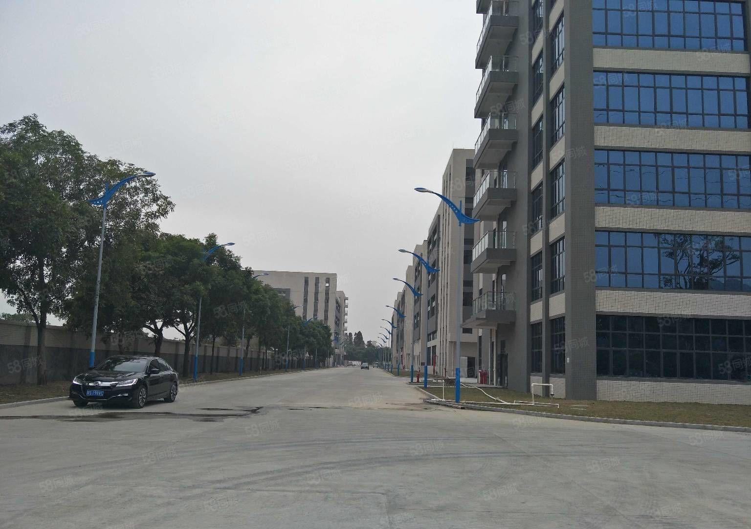 中堂镇80000平方米智能智造高新产业园出租，可分租