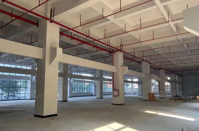 中堂镇新出独门独院三层标准厂房出租22500平方米（单层面积