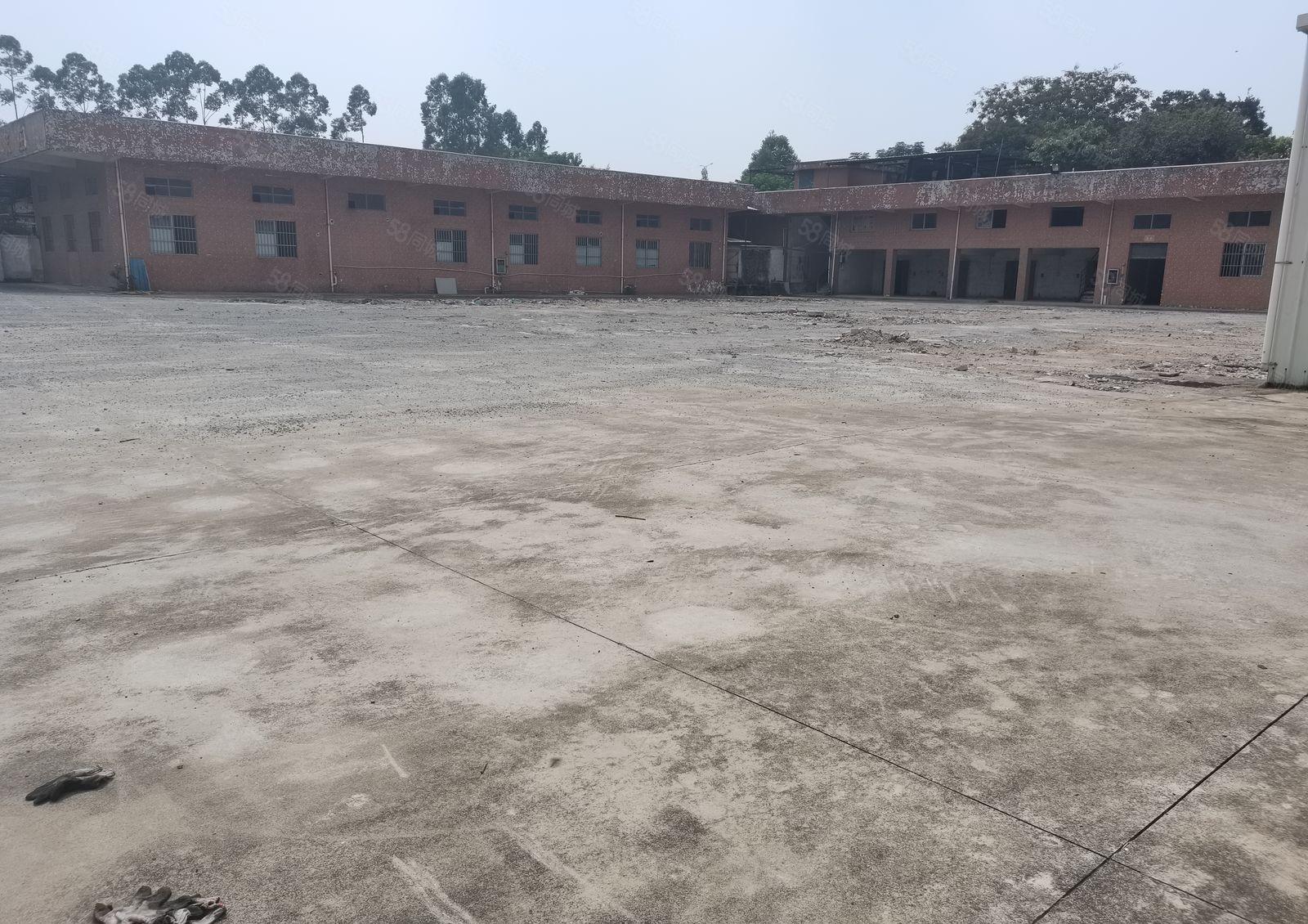 中堂镇原房东厂房急租，急租，急租