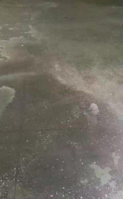 中堂镇   小独院800平方厂房出租，有宿舍办公室