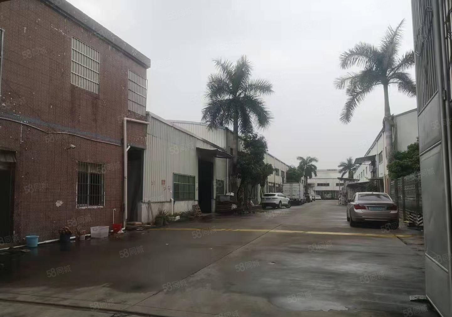 中堂单一层厂房空地大交通便利价格便宜工业用地无行业限制形象好