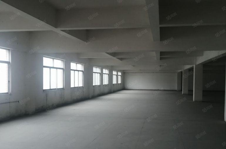 中堂镇3000平方（大小可分租）独门独院双证标准厂房低价出租