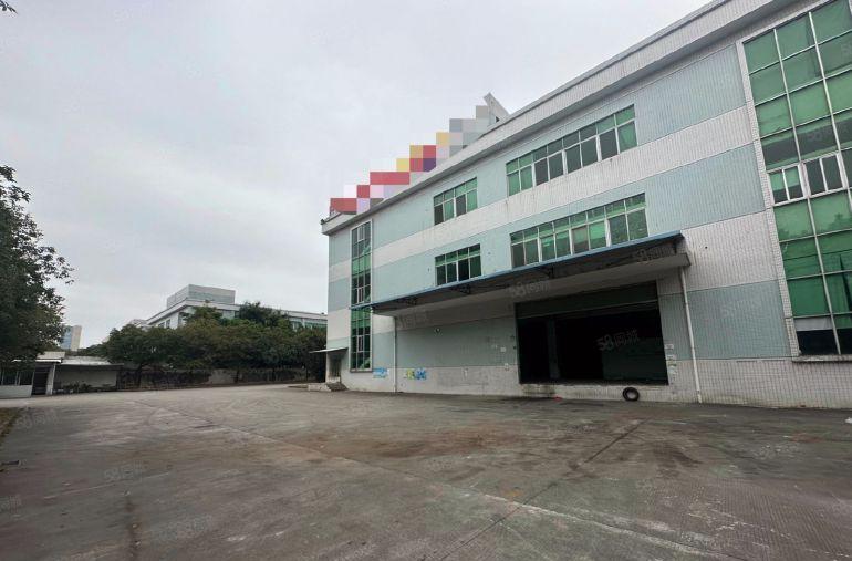 高埗镇花园式标准独院厂房，主干道旁，带卸货平台，超大空地