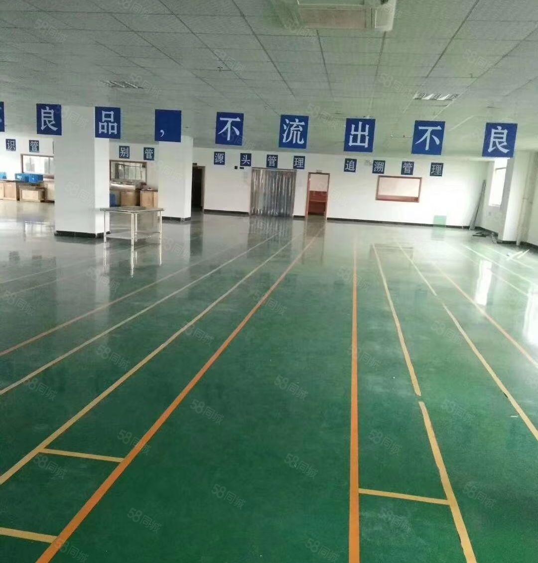 高埗镇私人，村委会工业区独院厂房招租大小都有（高埗工业办）