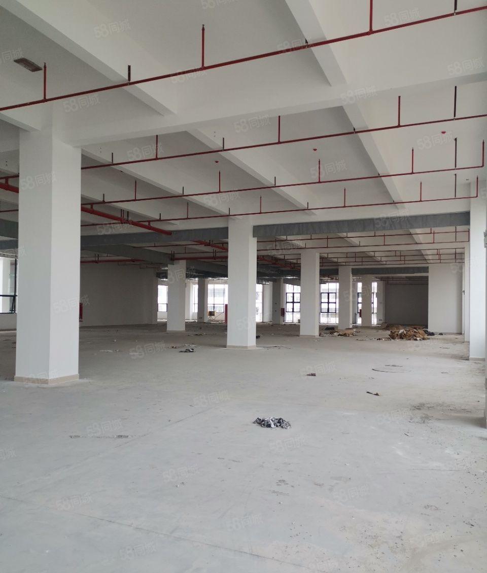 华智.万江新智汇全新厂房10000万平厂房出租(可分租）