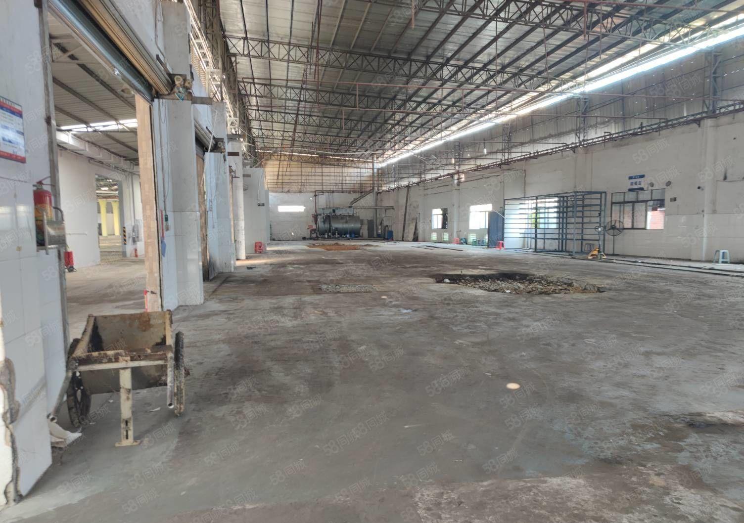 高埗镇省道边独门独院单一层钢构厂房低价出租，大小可分可办环评