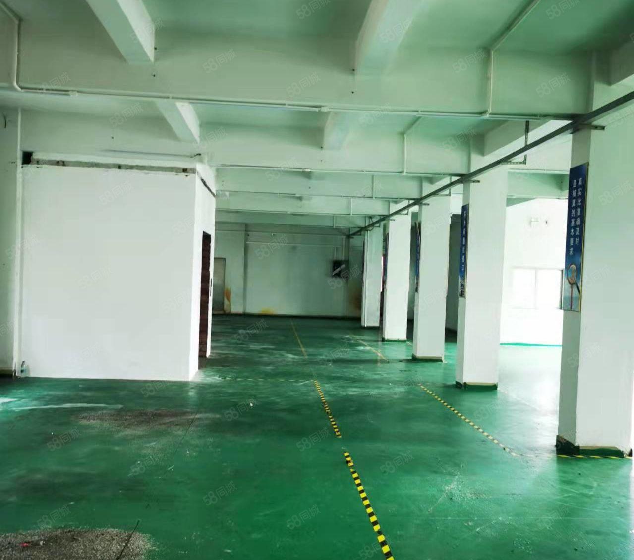高埗新出原房东标准厂房二楼带现成地坪漆可做电子服装手袋香包等
