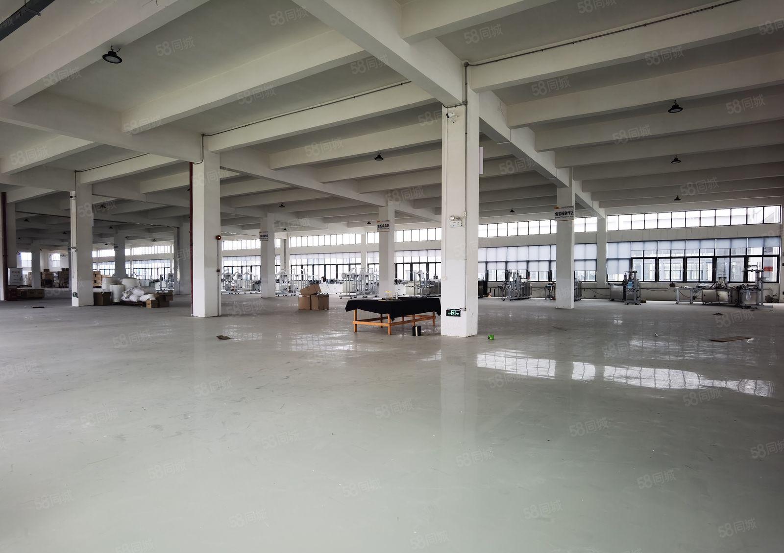 高埗镇独院标准厂房出租10500平方可分租可办环评空地超大