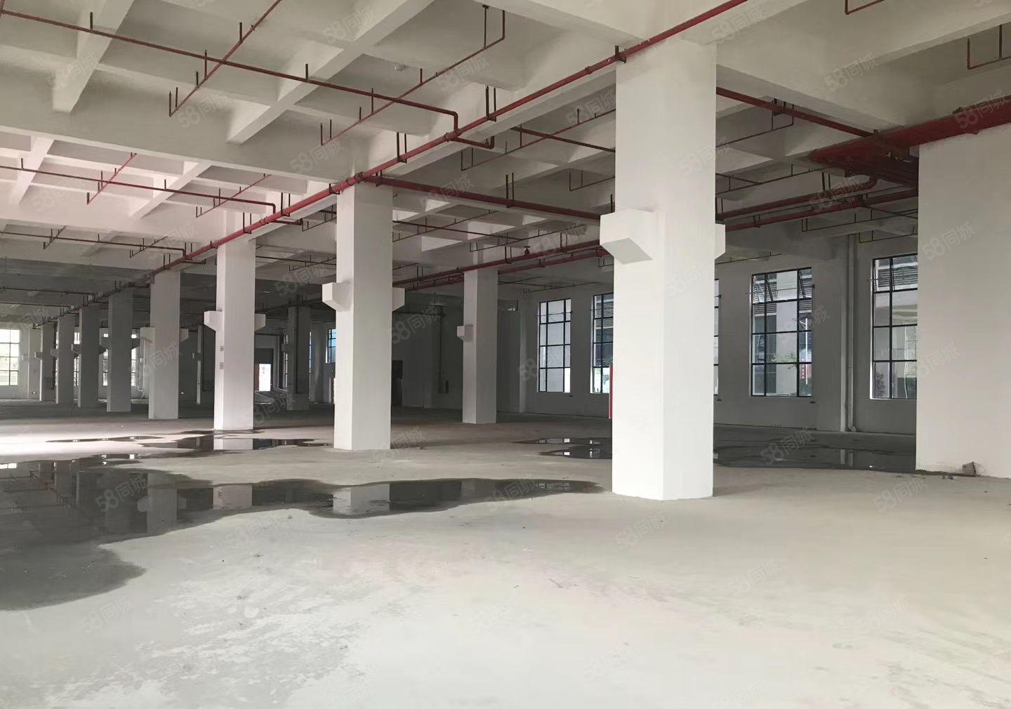 高埗镇私人，村委会工业区独院厂房招租大小都有（高埗工业办）