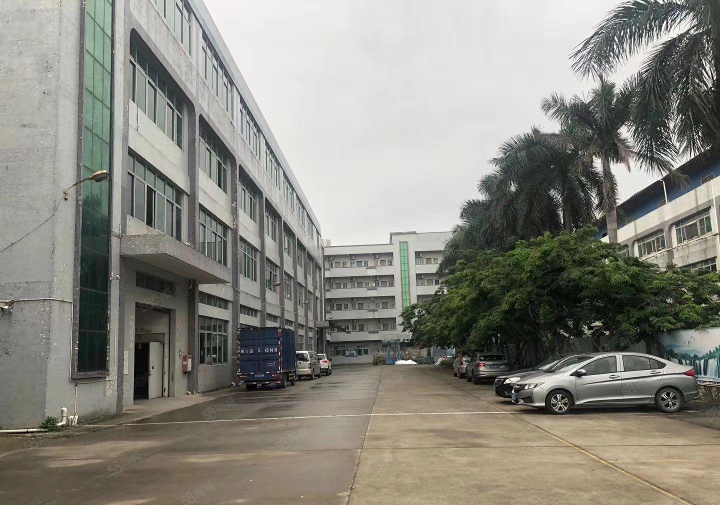 高埗镇私人，村委会工业区独院厂房招租大小都有（高埗工业办）