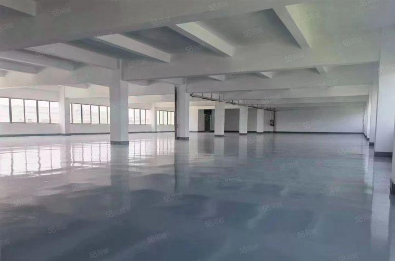 独院全新厂房超大空地8.8元出租，适合仓库电子加工等各行业