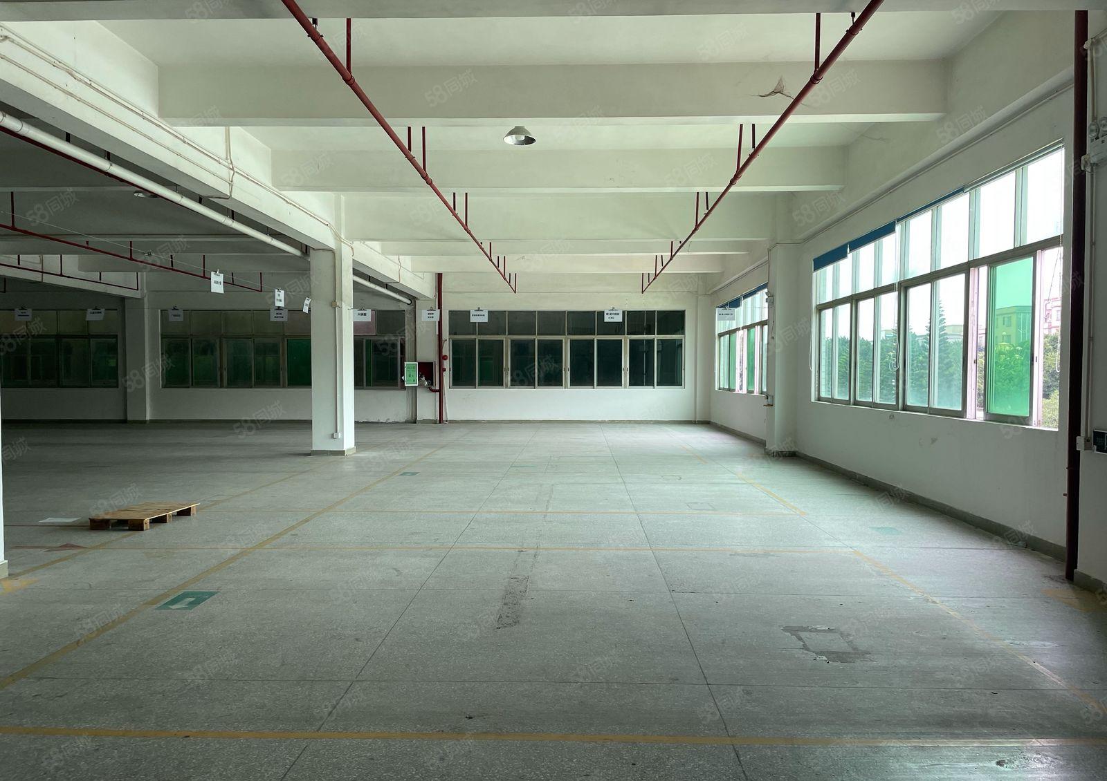 东莞高埗镇独门独院17600平空地大形象好现成食品厂房