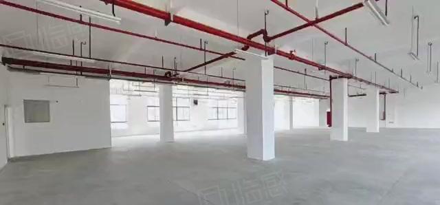 赠！免租期 高埗镇新出标准厂房500~20000平大小可分