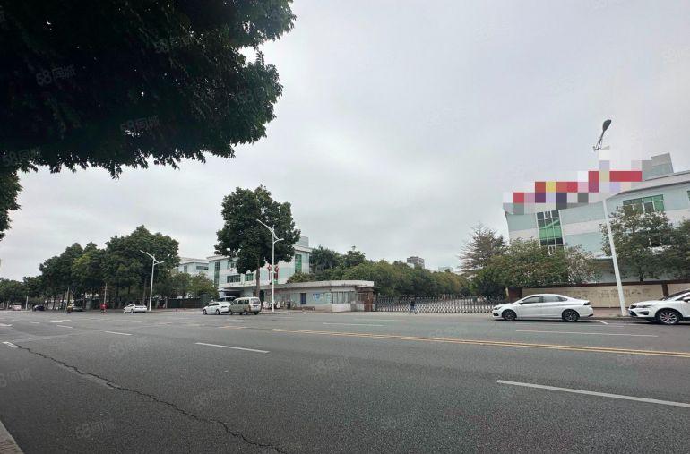 高埗镇花园式标准独院厂房，主干道旁，带卸货平台，超大空地