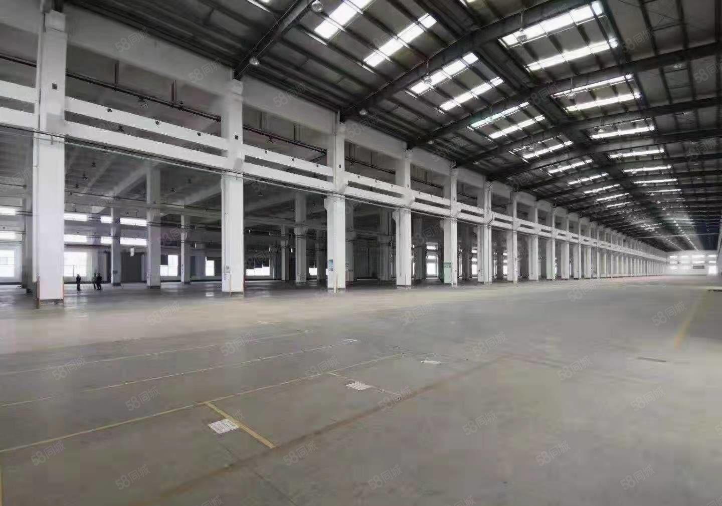 独院砖墙到顶单一层，滴水13米，中高16米，占地面积80亩，