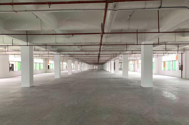 高埗大桥边标准一楼700平！交通便利，适合各种加工行业