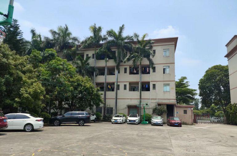 高埗草墩花园式独院，超大空地超靓厂房分租