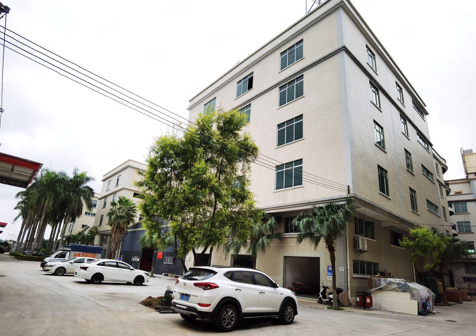 高埗独院钢构厂房出租3600平方可分租带装修水电齐全交通方便