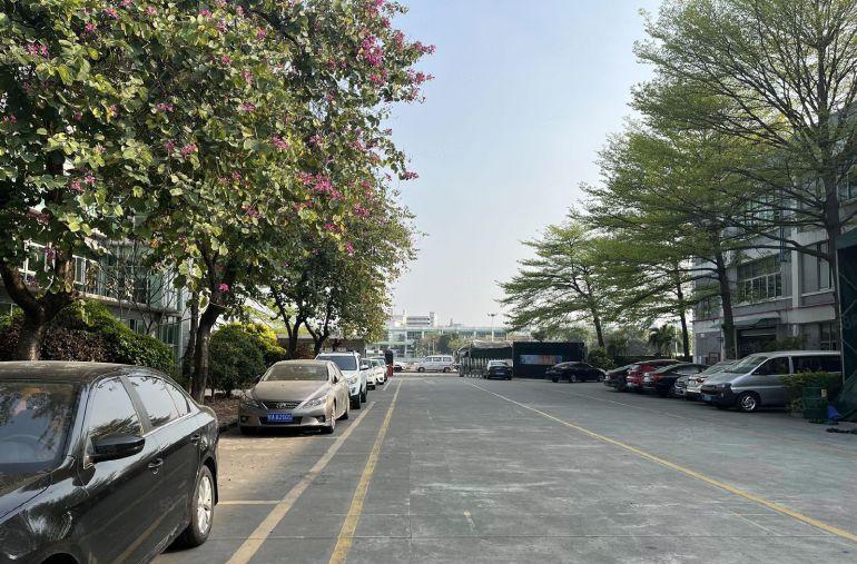 高埗大桥边标准一楼700平！交通便利，适合各种加工行业