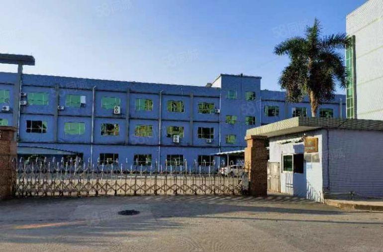 高埗镇独门独院厂房出租13层8000平方，宿舍2000平方