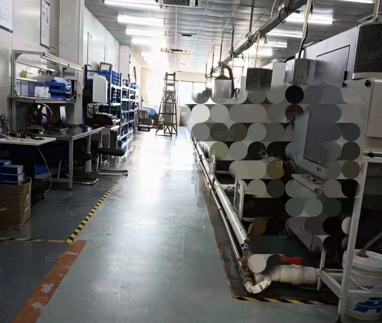 高埗园区分厂房出租，无尘车一楼楼上面积6000平可灵活分租