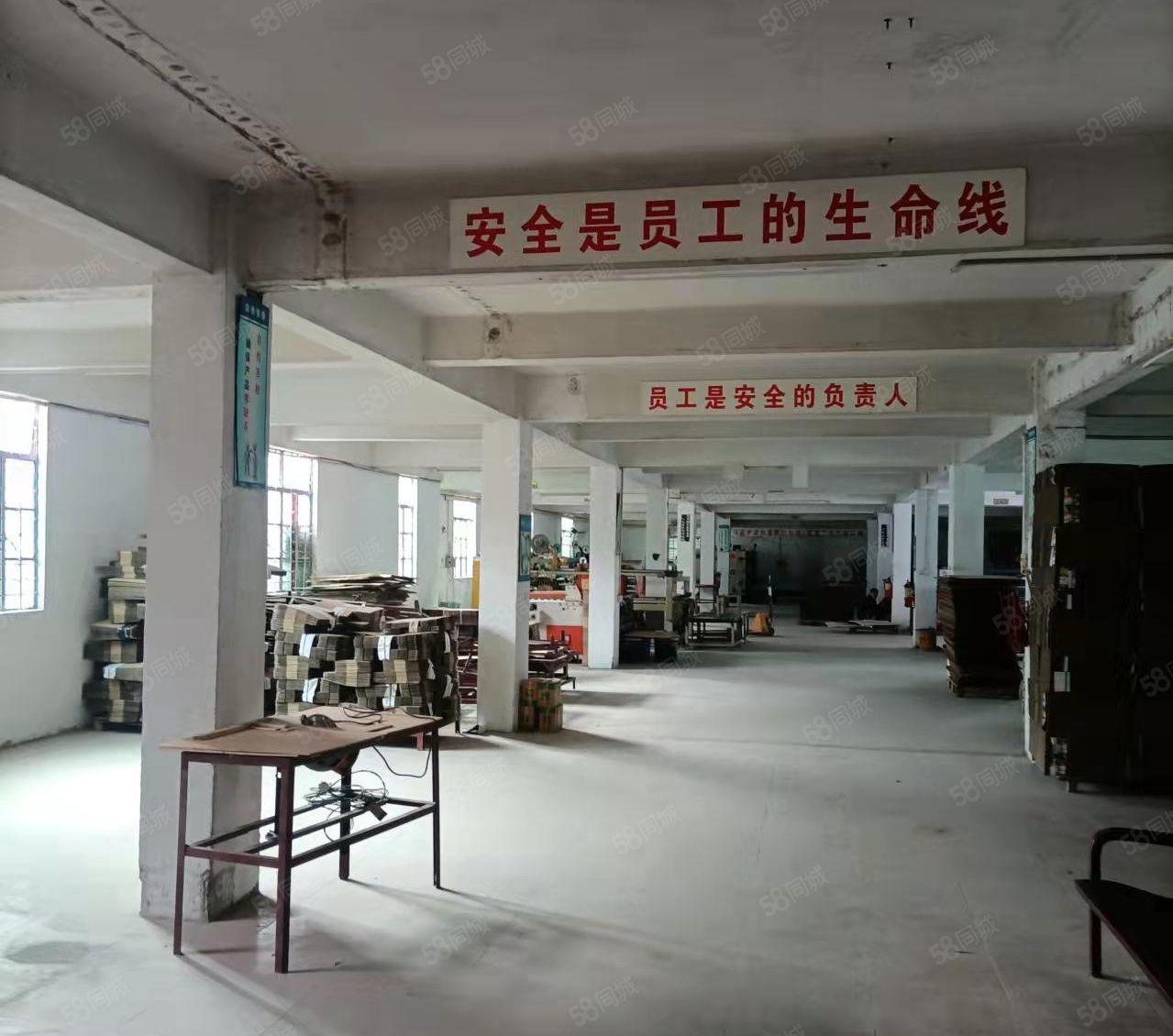 单一层独院厂房价格便宜图片真实可做任何无污染行业交通便利