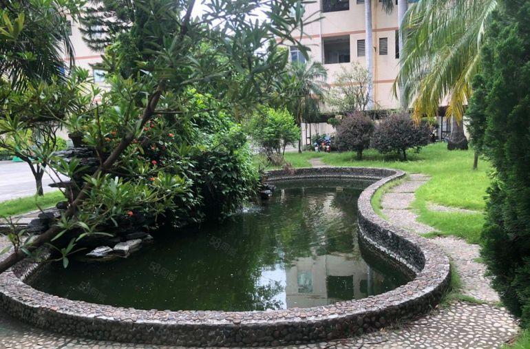 高埗镇环城路外花园式厂房出租，标准楼房500起分，可办环评