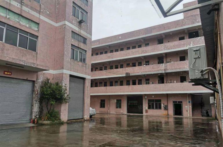 8元高埗下江城900平厂房出租，地理位置优越交通便利