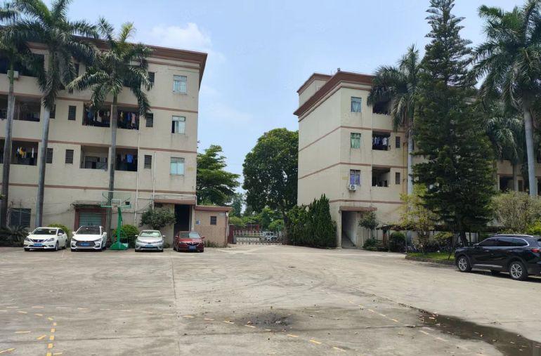 高埗草墩花园式独院，超大空地超靓厂房分租