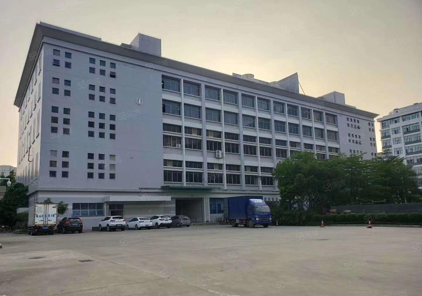 赠！免租期 高埗镇新出标准厂房500~20000平大小可分