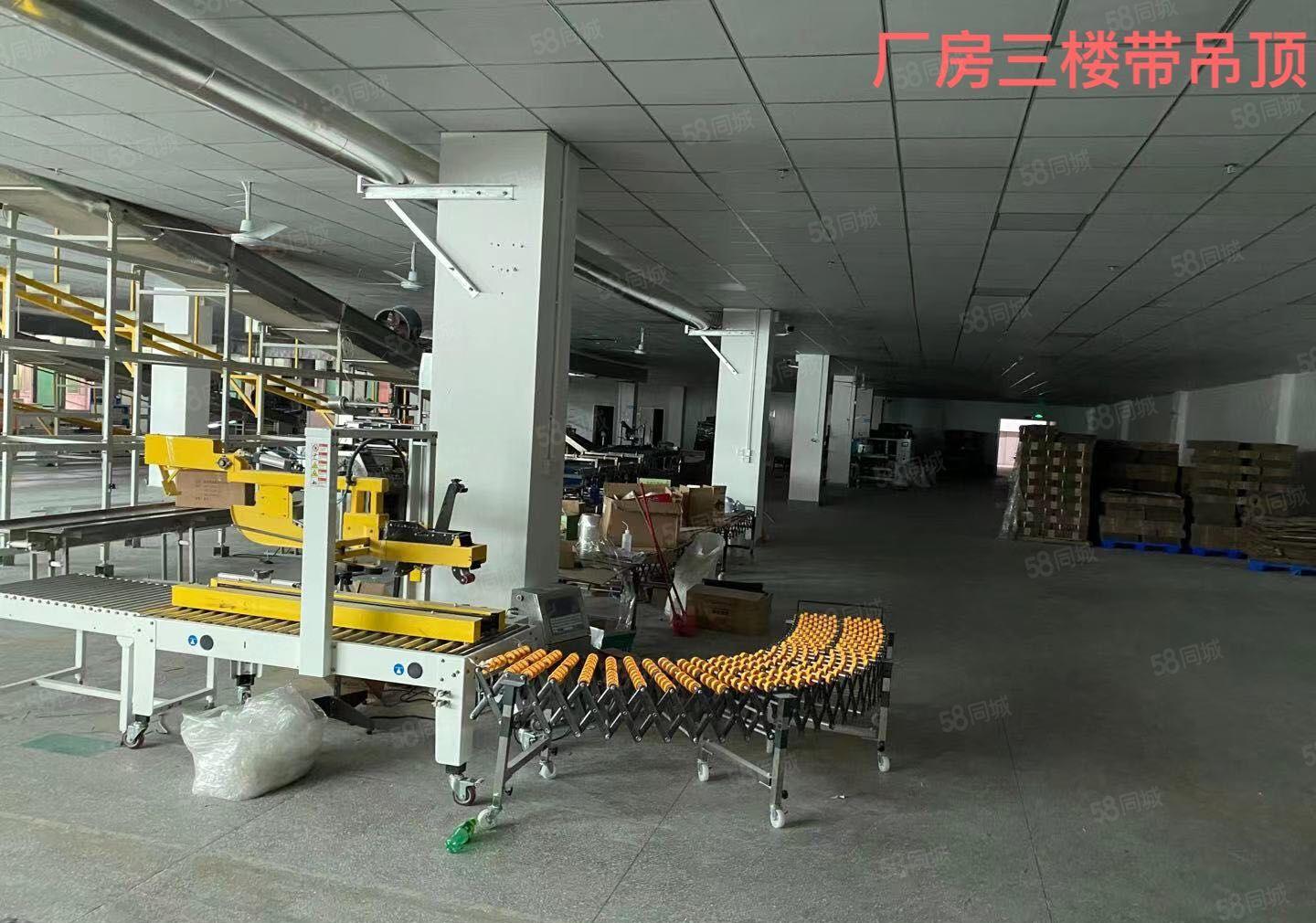 空出花园式独门独院标准厂房，原房东。总面积18000。