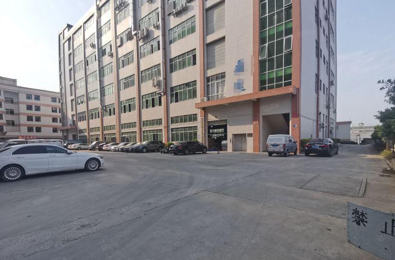 一手资源无公摊甩租高埗万江中堂3千平一楼仓库厂房出租大小可分