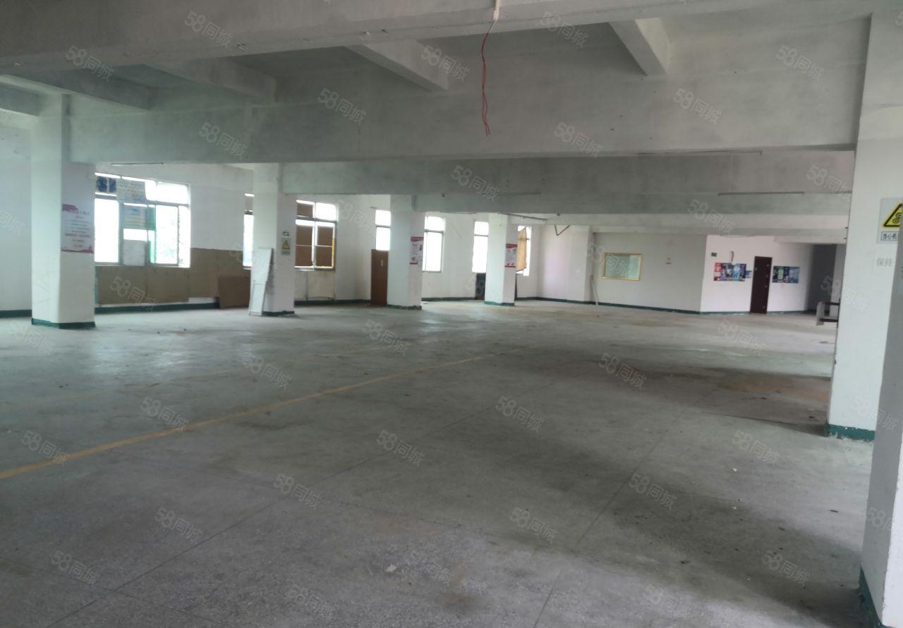 高埗新出园区2楼厂房形象好空地大工业聚集地价格便宜房东好说话