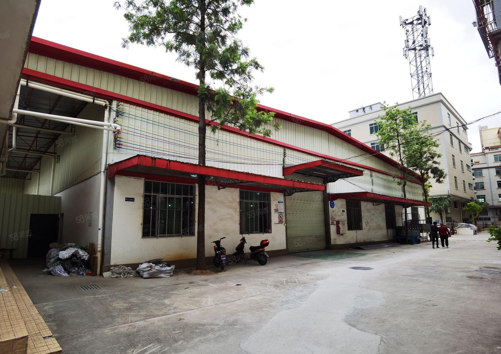 高埗独院钢构厂房出租3600平方可分租带装修水电齐全交通方便