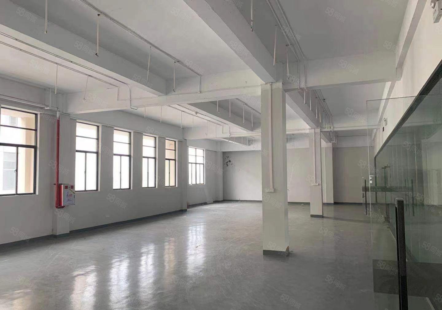 厂房出租  高埗原房东独院厂房，可办环评，形象超好，易招工