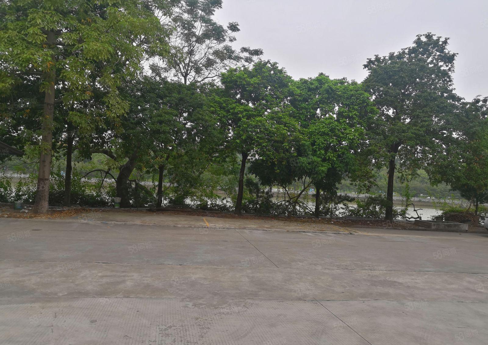 高埗新出园区单一层厂房形象好空地大现成航车一台可用工业用地