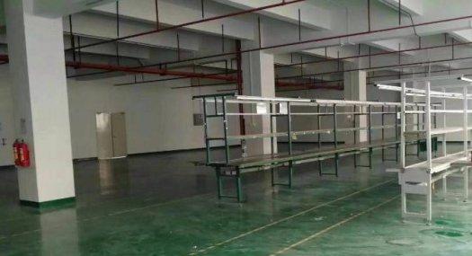 凤岗金凤凰楼上带消防喷淋 面积实在厂房出租1400平