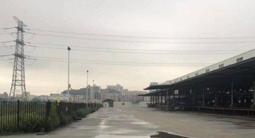 凤岗主干道边 大型物流园出租50000平 可以分租
