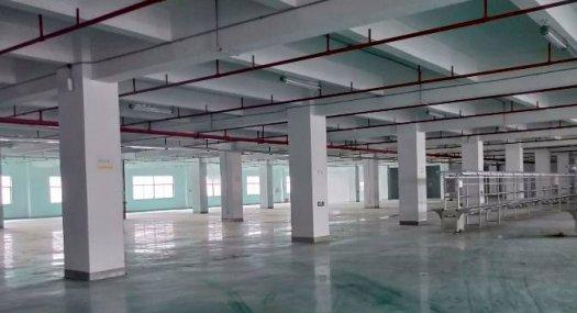 有红本 凤岗雁田海关附近 电子电商厂房出租7000平 可分租