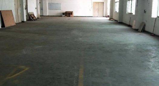 凤岗黄洞出租三楼带装修价格可谈、有宿舍厂房650平