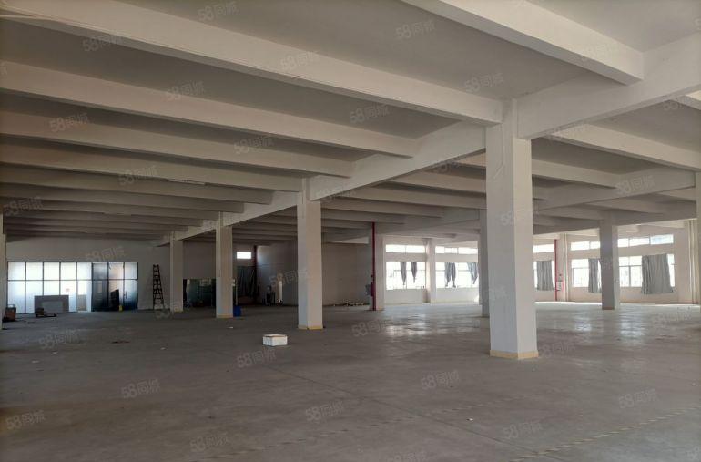 5元企石全新天然气，层高5.5米厂房出租