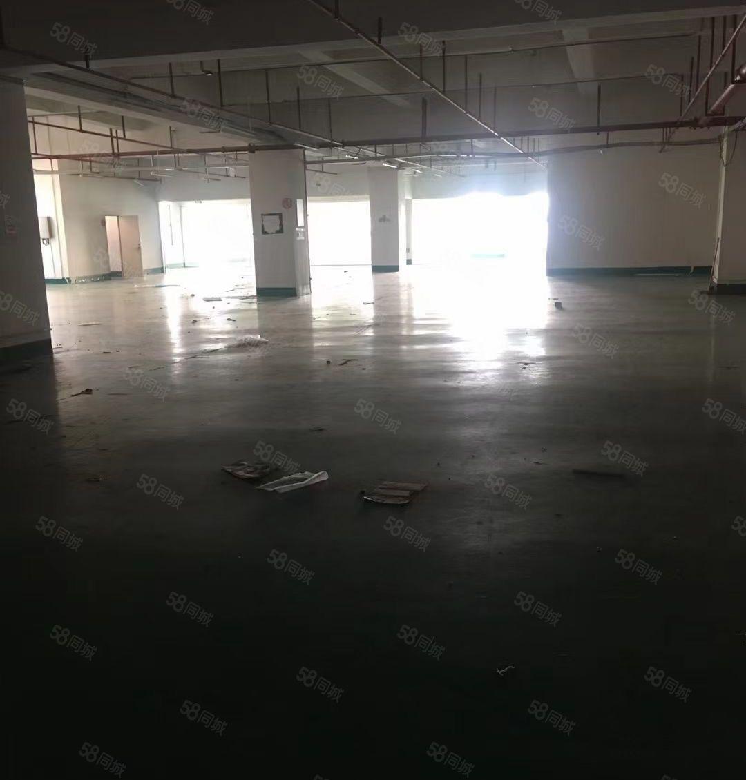 企石铁炉坑楼上带装修厂房1300平米