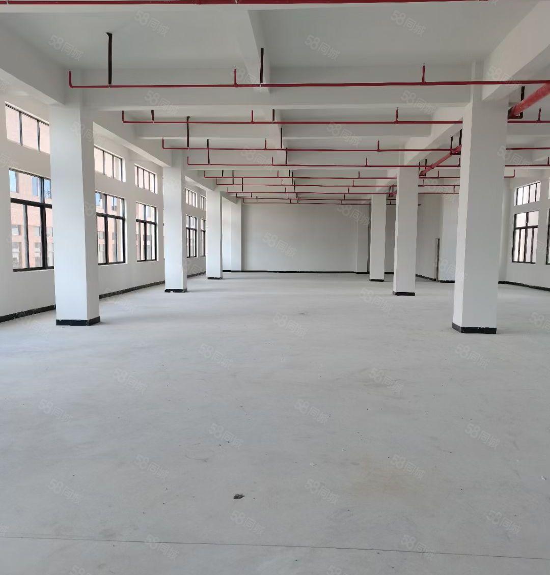 企石深巷全新厂房10元招租6楼1050平米