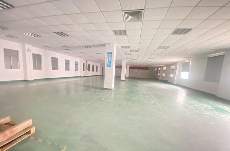 企石原房东独院三层厂房无尘车间适合电子五金注塑模具等机械设备