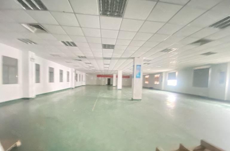 企石原房东独院三层厂房无尘车间适合电子五金注塑模具等机械设备