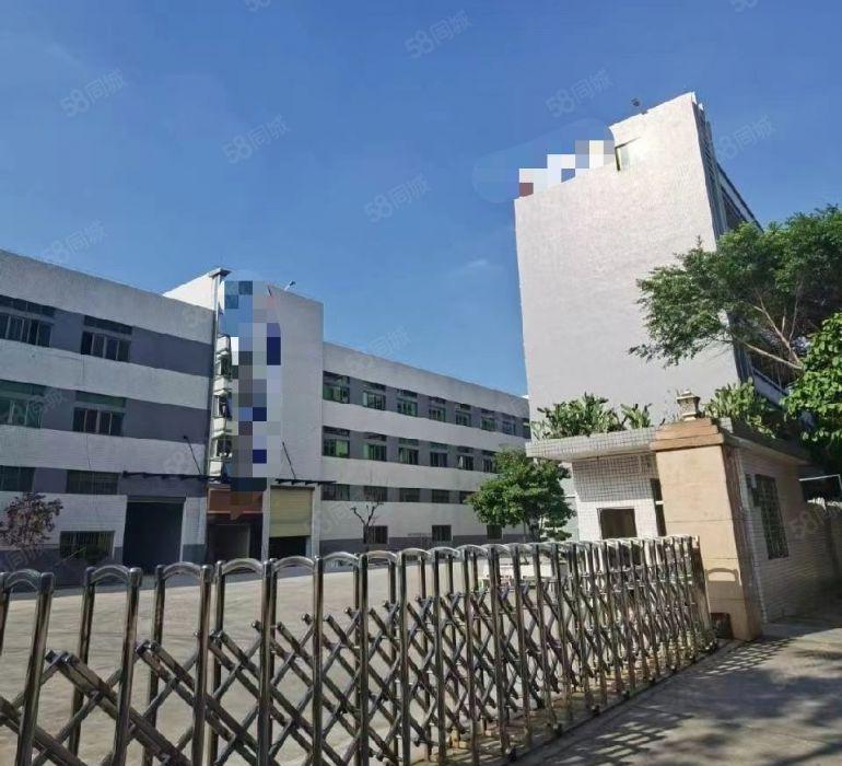 企石镇原房东独院分租一楼二楼各1300方低价出租