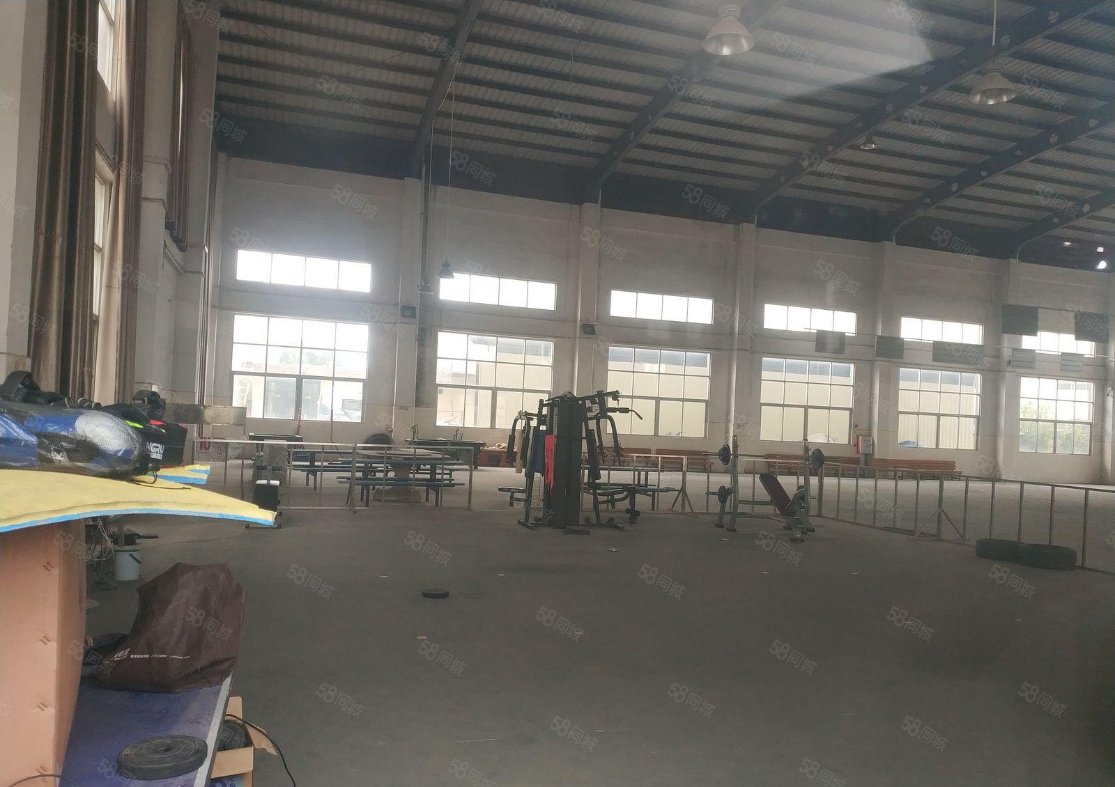 企石镇新出原房东1200平方独院钢构月租金2.2万